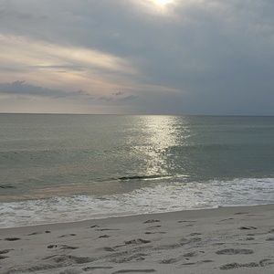 Meet your Posher, Nora